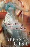 Courting Trouble (eBook, ePUB)