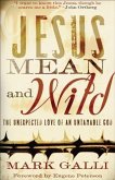 Jesus Mean and Wild (eBook, ePUB)