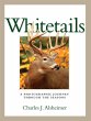 Whitetails (eBook, ePUB) - Bild 1
