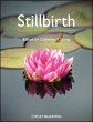 Stillbirth (eBook, PDF) - Bild 1