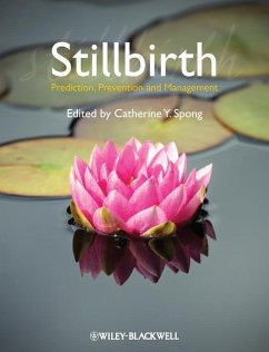 Cover Stillbirth (eBook, PDF)
