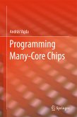 Programming Many-Core Chips (eBook, PDF)