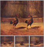 The Breeding and Management of Fighting Cocks (eBook, ePUB)