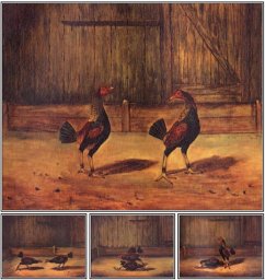 The Breeding and Management of Fighting Cocks (eBook, ePUB) - Simpson, Everard