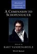 A Companion to Schopenhauer (eBook,... - Bild 1