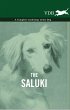 The Saluki - A Complete Anthology of... - Bild 1