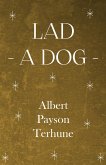 Lad - A Dog (eBook, ePUB)