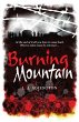 The Burning Mountain (eBook, ePUB) - Bild 1