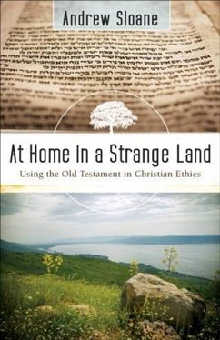 Cover At Home in a Strange Land (eBook, ePUB)