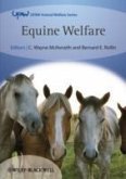 Equine Welfare (eBook, PDF)