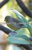Diseases of Canaries (eBook, ePUB) Diseases of Canaries (eBook, ePUB)