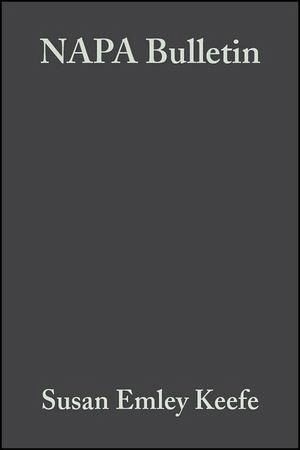 Negotiating Ethnicity (eBook, PDF)