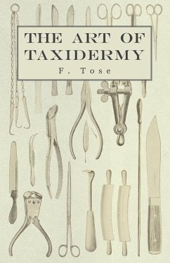 Cover The Art of Taxidermy (eBook, ePUB)