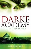 Divided Souls (eBook, ePUB)