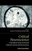 Critical Neuroscience (eBook, ePUB)
