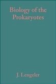 Biology of the Prokaryotes (eBook, PDF)