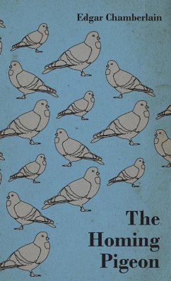 Cover The Homing Pigeon (eBook, ePUB)
