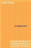 inSignificant (eBook, ePUB)