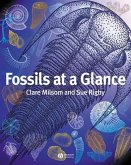 Fossils at a Glance (eBook, PDF)