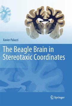 The Beagle Brain in Stereotaxic Coordinates (eBook, PDF) - Palazzi, Xavier