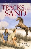 Tracks in the Sand (Ally O'Connor Adventures Book #1) (eBook, ePUB)