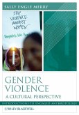 Gender Violence (eBook, ePUB)