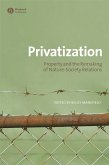 Privatization (eBook, PDF)