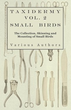 Cover Taxidermy Vol. 2 Small Birds - The Collection, Skinning and Mounting of Small Birds (eBook, ePUB)