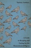 A Guide to Keeping and Caring for the Domesticated Pigeon (eBook, ePUB)