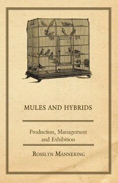 Mules and Hybrids - Production, Management and Exhibition (eBook, ePUB) - Mannering, Rosslyn