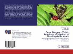 Some Common, Visible Symptoms of Infection in Nine Vegetable plants - Tiwari, Sudhanshu;Tiwari, Richa;Upadhyaya, P. P.