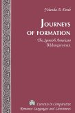 Journeys of Formation (eBook, PDF)