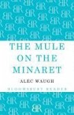 The Mule on the Minaret (eBook, ePUB)