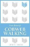 Cobweb Walking (eBook, ePUB)
