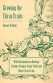 Growing the Citrus Fruits - With Information on Growing Lemons, Oranges, Grape Fruits and Other Citrus Fruits (eBook, ePUB)