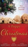 A Puppy For Christmas: On the Secretary's Christmas List / The Patter of Paws at Christmas / The Soldier, the Puppy and Me (eBook, ePUB)