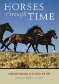 Horses through Time (eBook, ePUB) Horses through Time (eBook, ePUB)