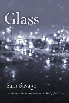 Cover Glass (eBook, ePUB)