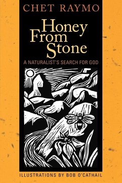 Honey from Stone (eBook, ePUB) - Raymo, Chet