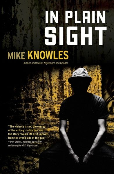 In Plain Sight (eBook, ePUB) In Plain Sight (eBook, ePUB)