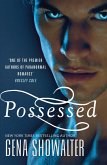 Possessed (eBook, ePUB)
