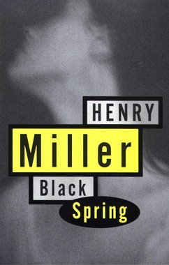 Black Spring (eBook, ePUB) - Miller, Henry