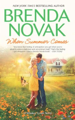 When Summer Comes (eBook, ePUB) - Novak, Brenda