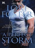 A Perfect Storm (eBook, ePUB)