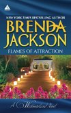 Flames Of Attraction (eBook, ePUB)
