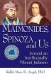 Maimonides, Spinoza and Us (eBook, ePUB) - Bild 1