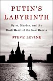 Putin's Labyrinth (eBook, ePUB)