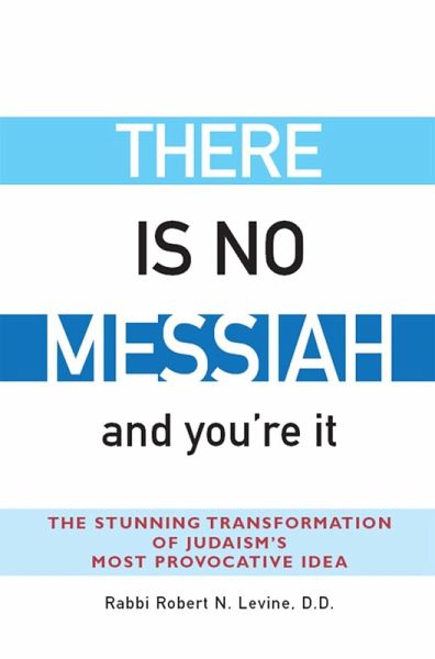 There Is No Messiah-and You're It (eBook, ePUB)