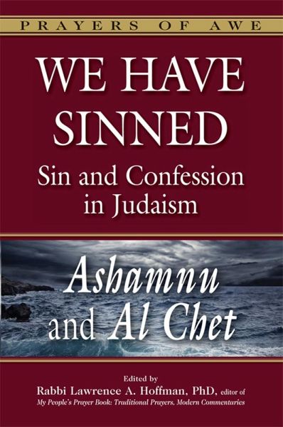 We Have Sinned (eBook, ePUB)