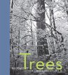 The Power of Trees (eBook, ePUB) - Bild 1